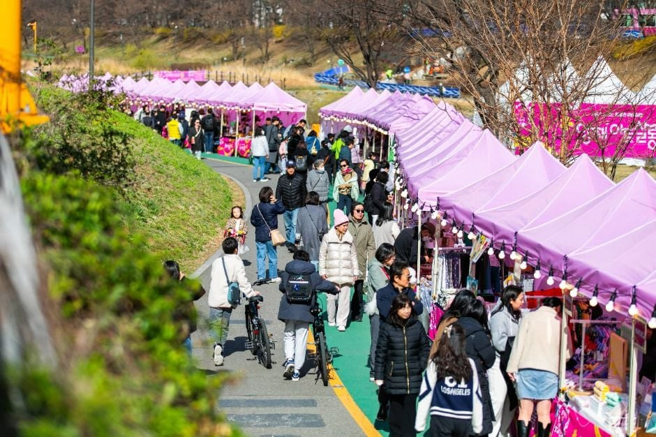 양재아트살롱 여행 정보 - 메고지고
