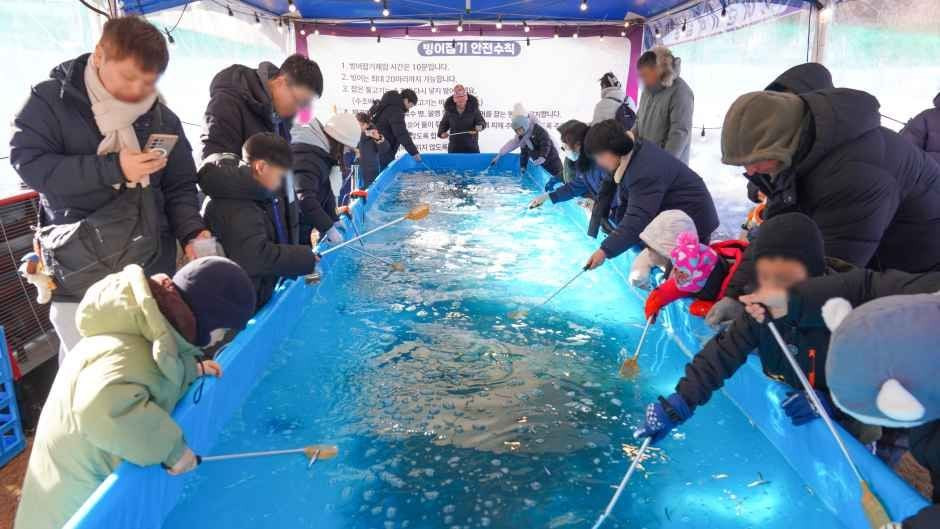 태백산 눈축제 여행 정보 - 메고지고
