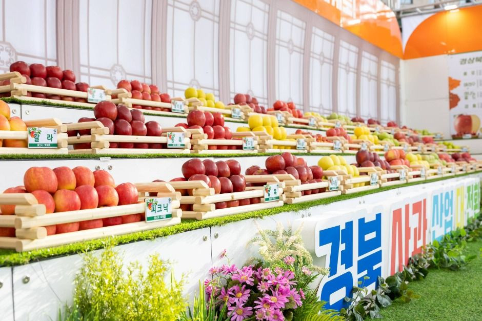 2025 경북사과홍보행사 여행 정보 - 메고지고