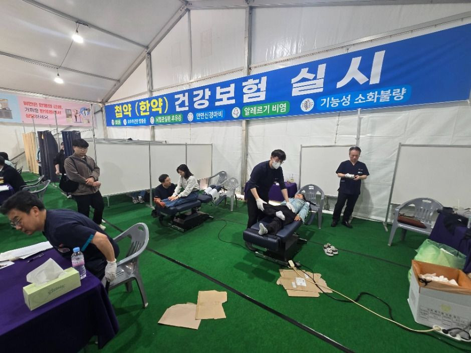 대구약령시한방문화축제 여행 정보 - 메고지고
