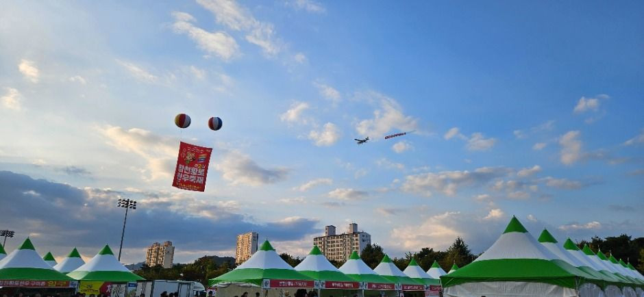 합천황토한우축제 여행 정보 - 메고지고