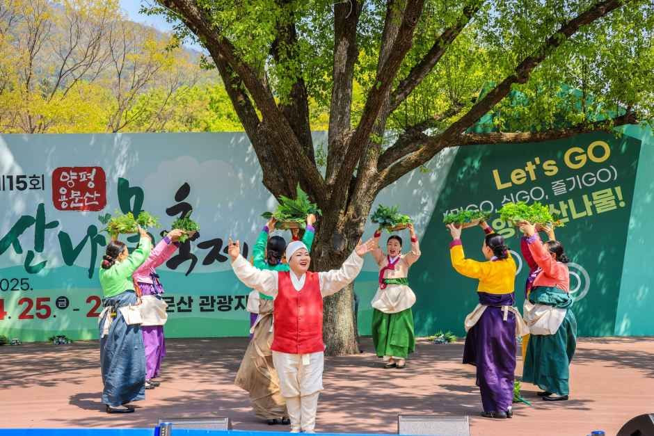 양평 용문산 산나물축제 여행 정보 - 메고지고