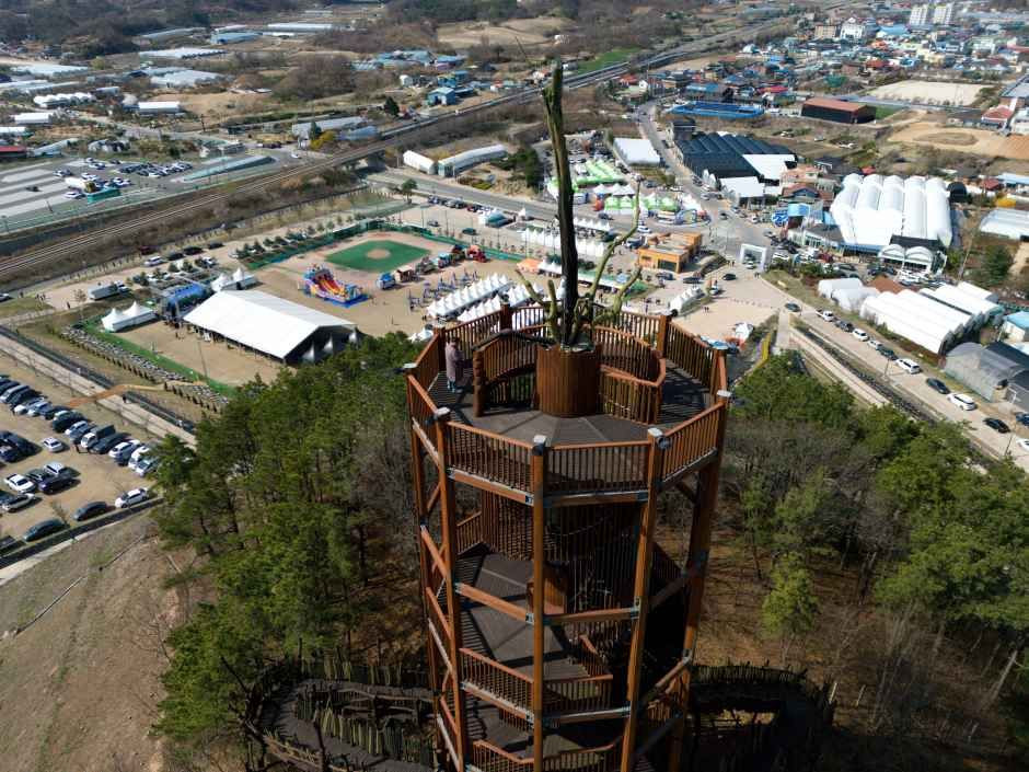 옥천묘목축제 여행 정보 - 메고지고