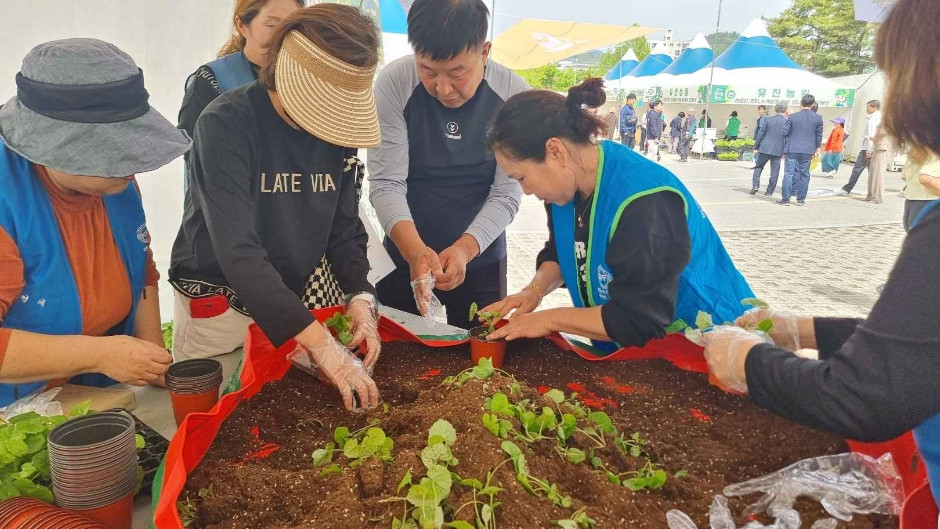 강원n 홍천 산나물축제 여행 정보 - 메고지고
