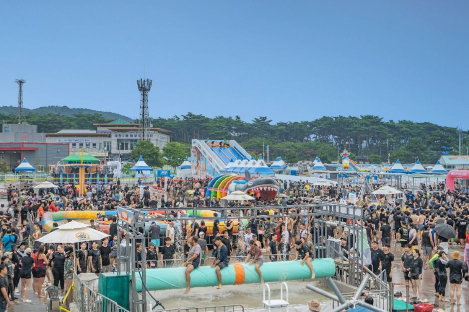 보령머드축제 여행 정보 - 메고지고
