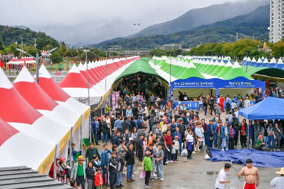 경북영주 풍기인삼축제 여행 정보 - 메고지고