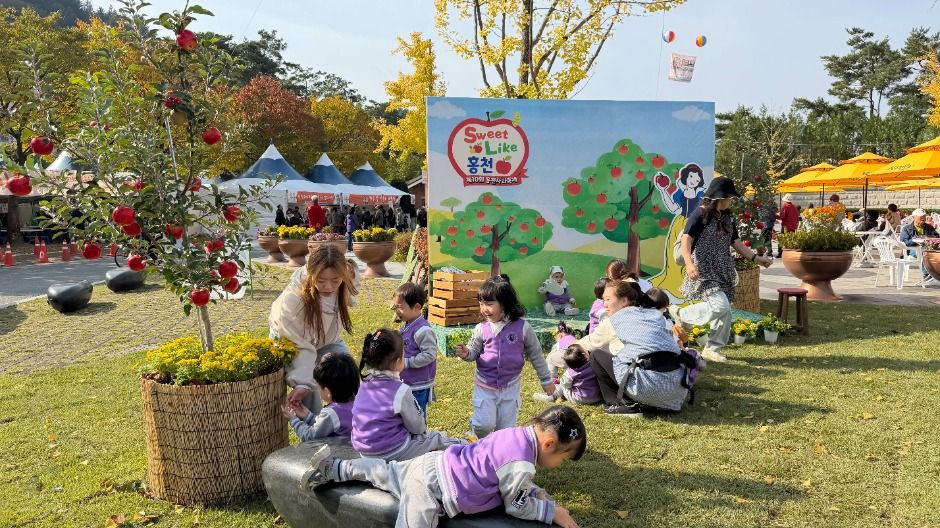 홍천 사과축제 여행 정보 - 메고지고