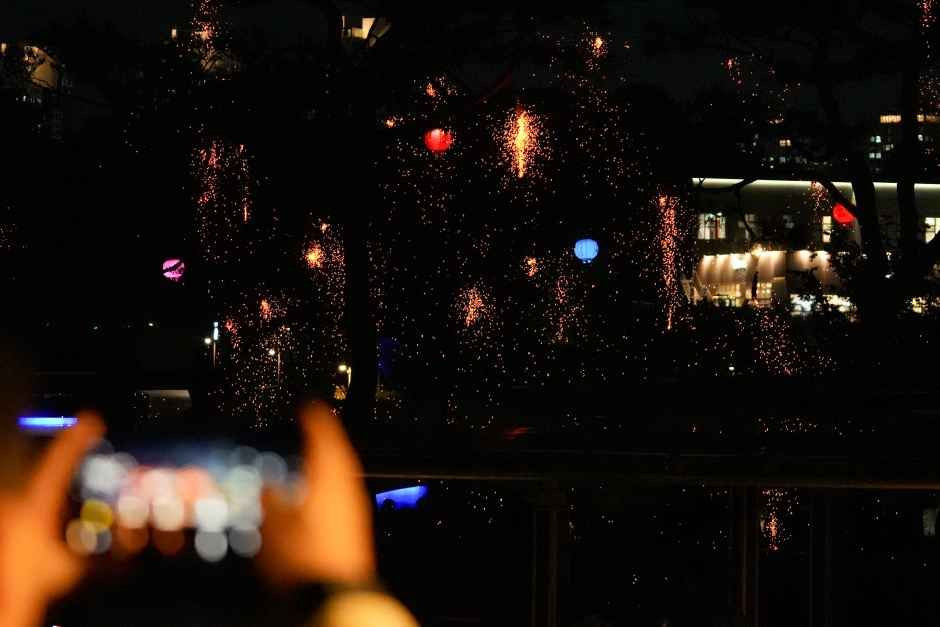 세종낙화축제 여행 정보 - 메고지고