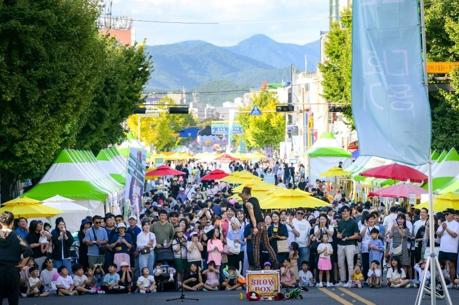 순천 푸드앤아트페스티벌 여행 정보 - 메고지고