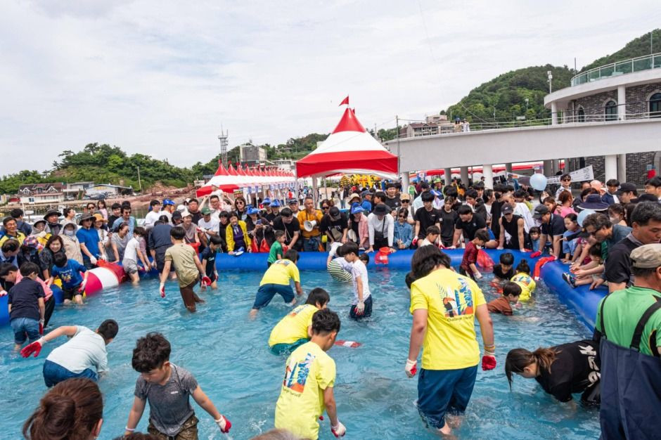 보물섬 해산물축제 여행 정보 - 메고지고