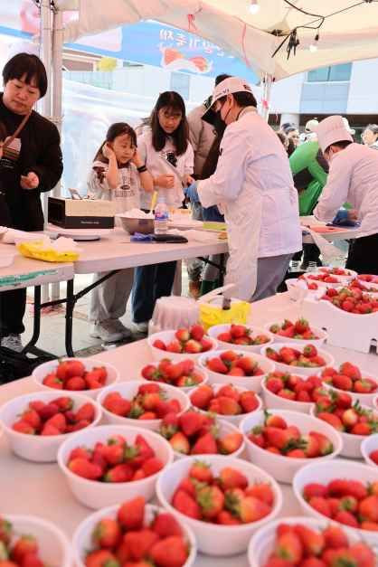 논산딸기축제 여행 정보 - 메고지고