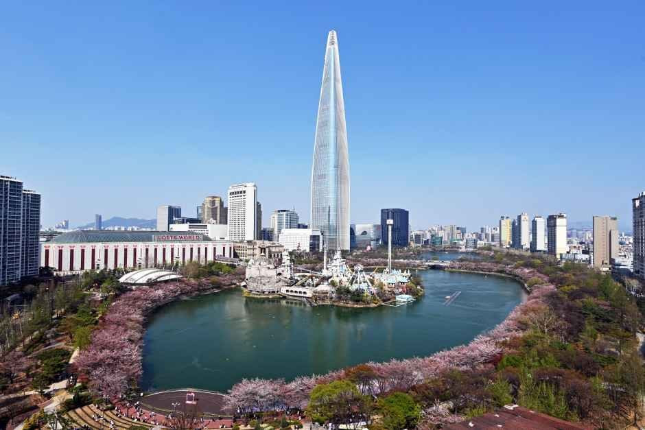 송파구 호수벚꽃축제 여행 정보 - 메고지고