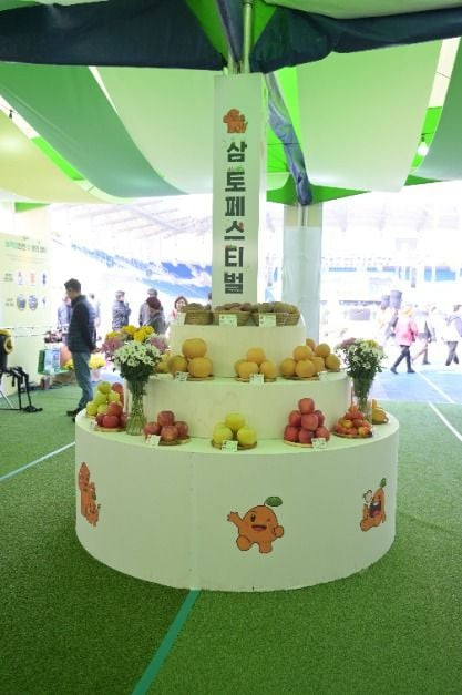 삼토 페스티벌 여행 정보 - 메고지고