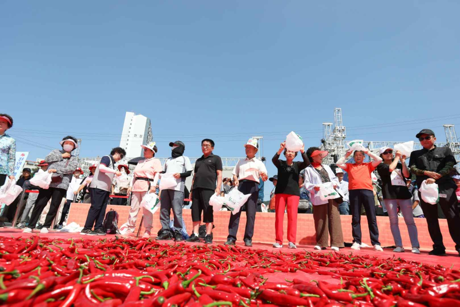 청양 고추 구기자 축제 여행 정보 - 메고지고