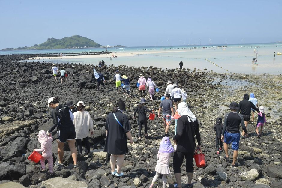금능원담축제 여행 정보 - 메고지고