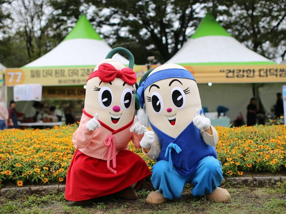 횡성더덕축제 여행 정보 - 메고지고