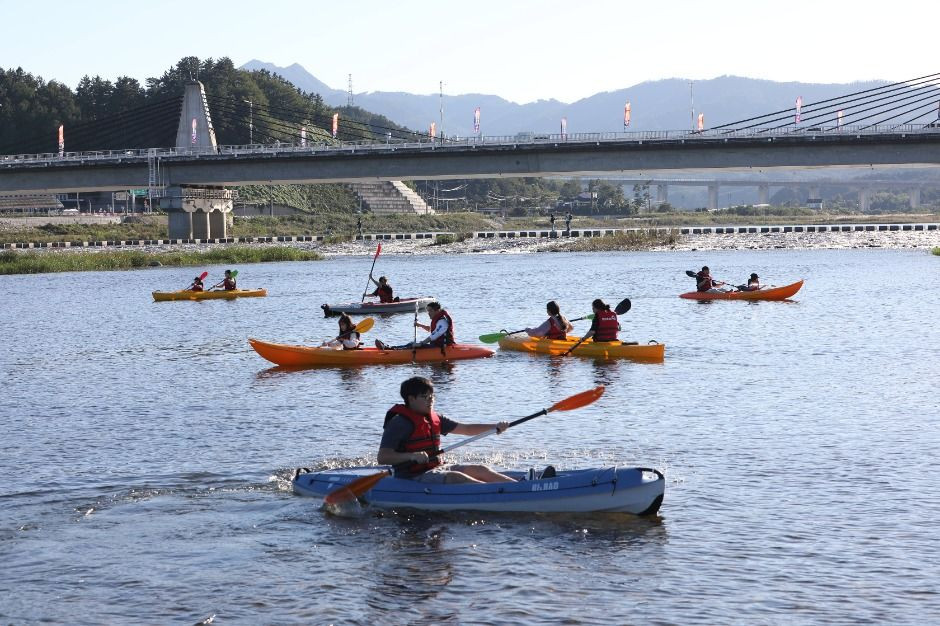 양양송이축제 여행 정보 - 메고지고
