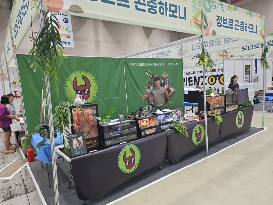 대한민국 펫캉스 여행 정보 - 메고지고