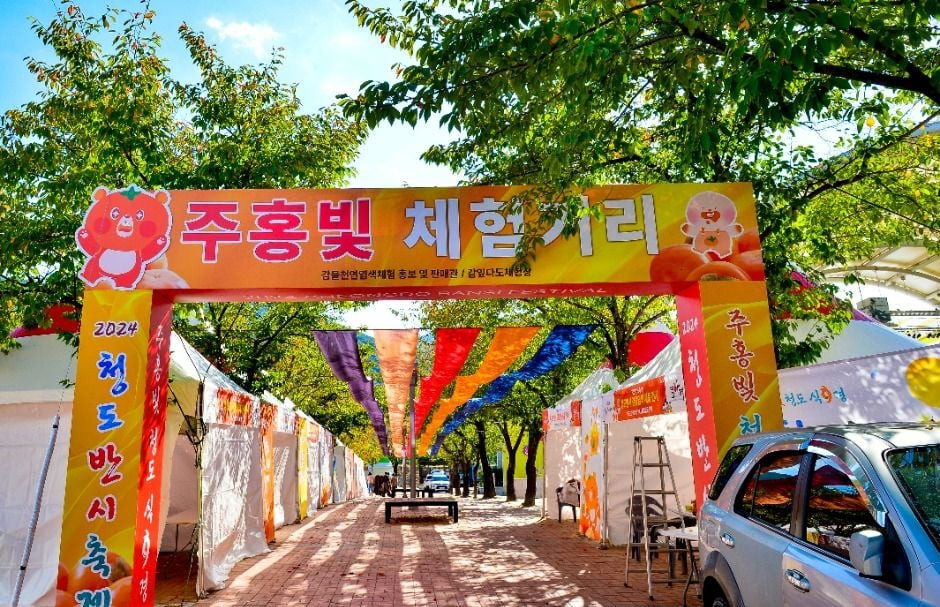 청도반시축제 여행 정보 - 메고지고