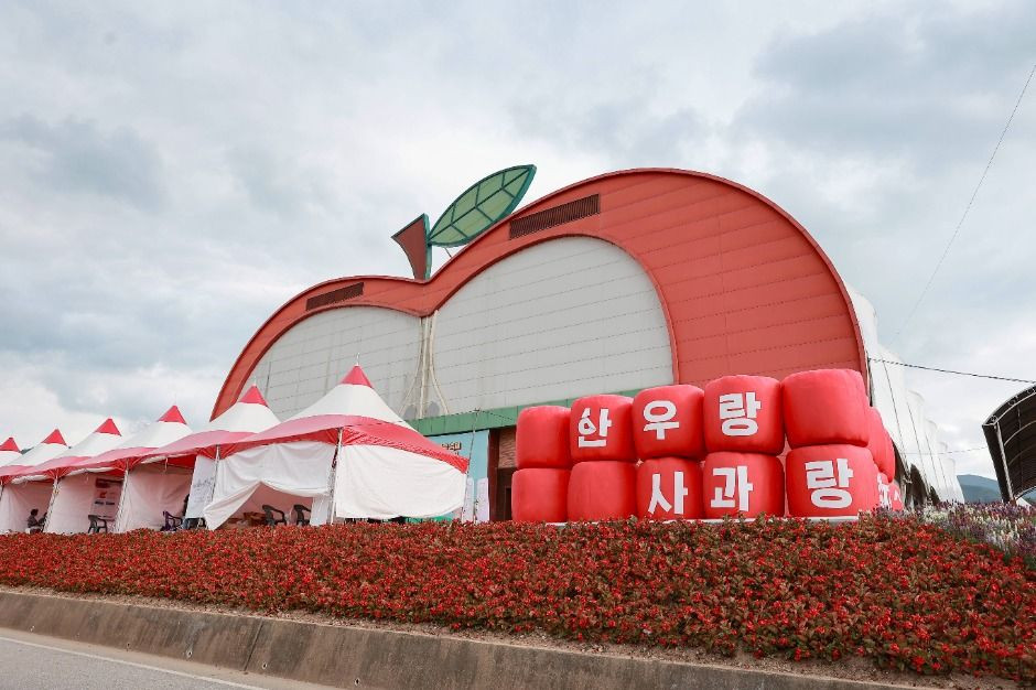 장수한우랑사과랑축제 여행 정보 - 메고지고