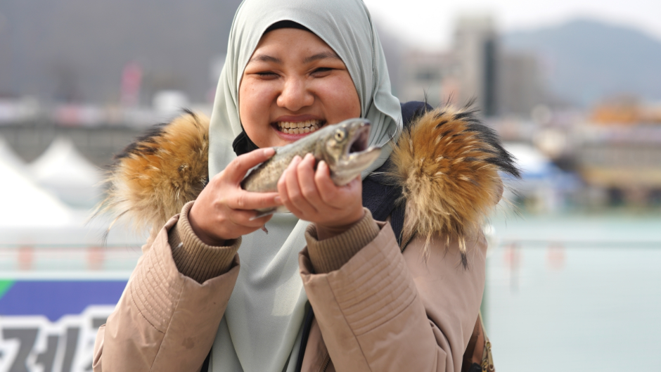 얼음나라화천 산천어축제 여행 정보 - 메고지고
