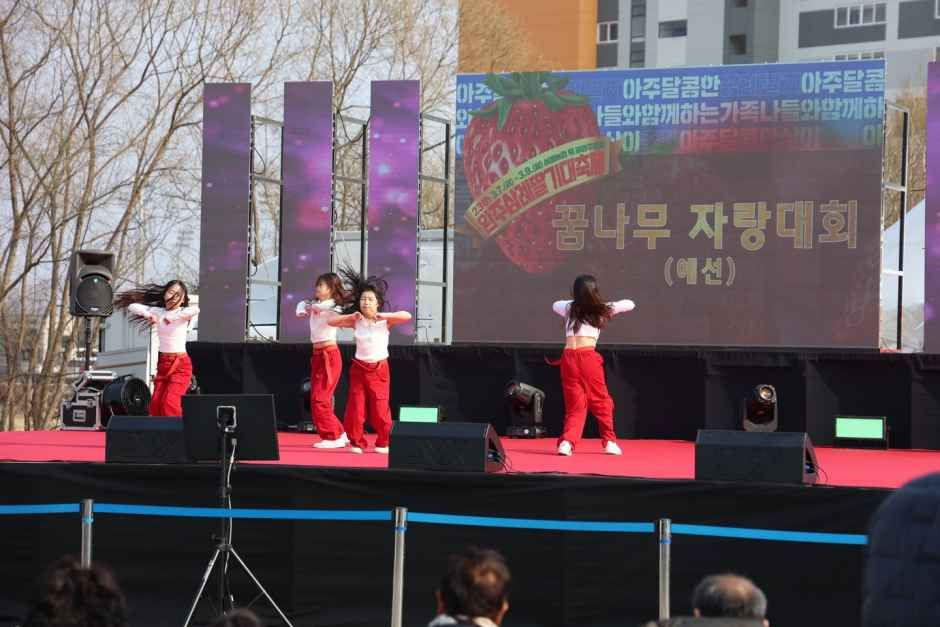 완주삼례딸기대축제 여행 정보 - 메고지고