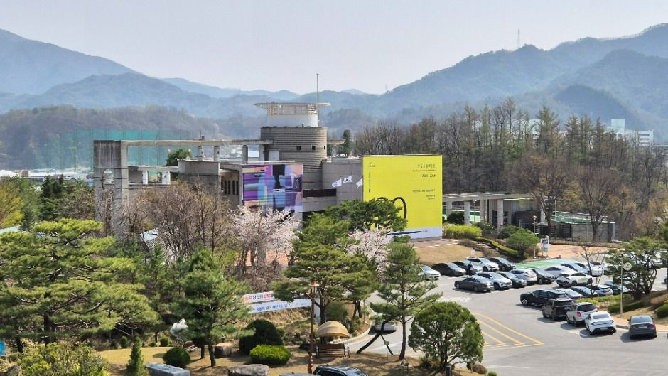 2025년 제23회 동강국제사진제 여행 정보 - 메고지고