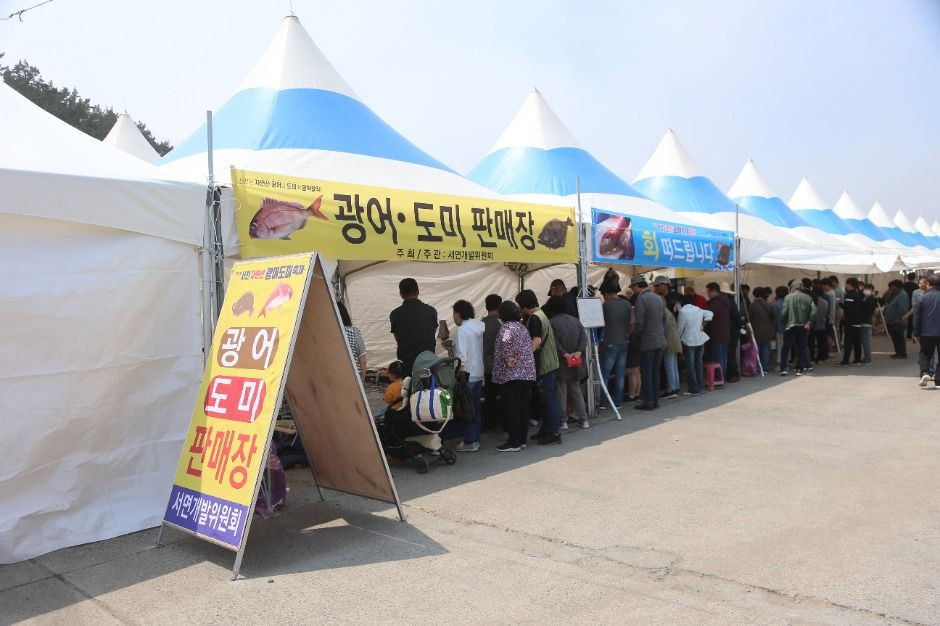 서천 자연산 광어 도미 축제 여행 정보 - 메고지고