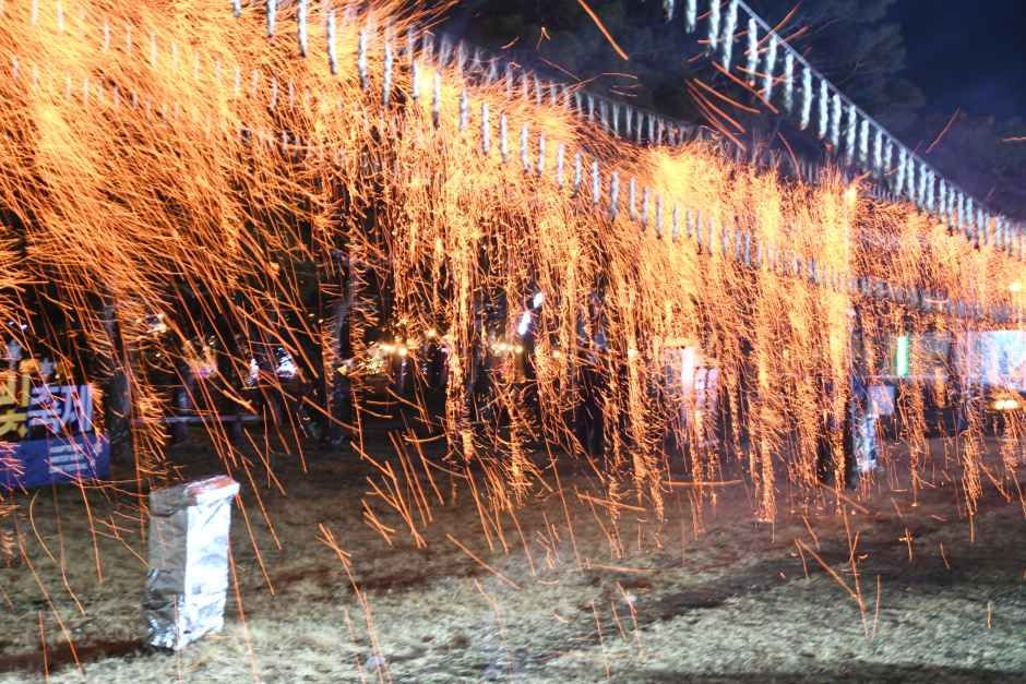 함평 겨울빛축제 여행 정보 - 메고지고