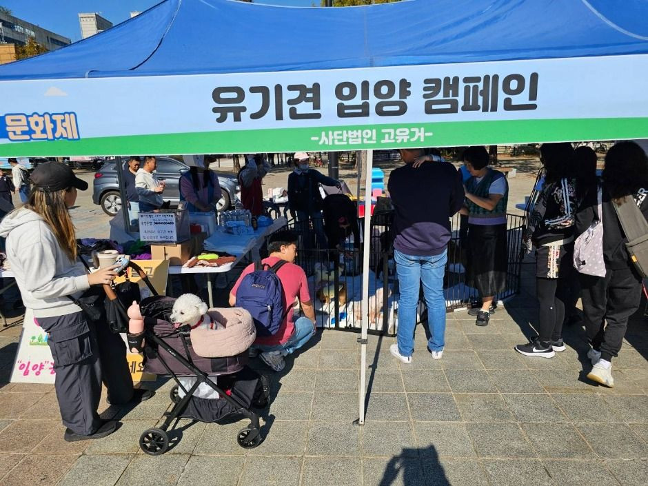 고양 동물교감치유 문화제 여행 정보 - 메고지고