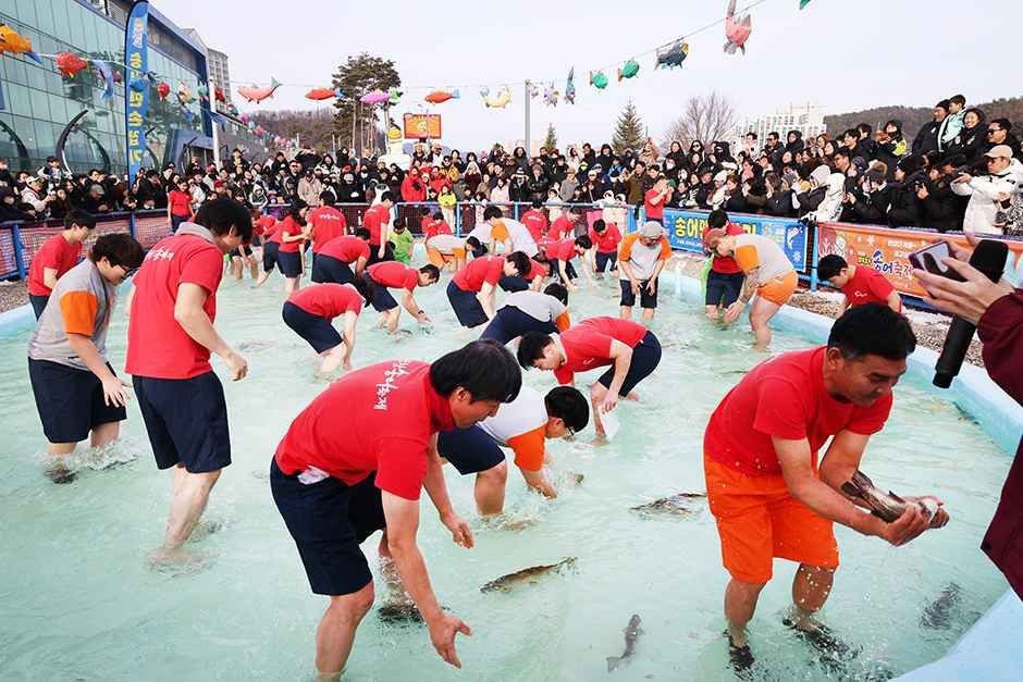 평창송어축제 여행 정보 - 메고지고