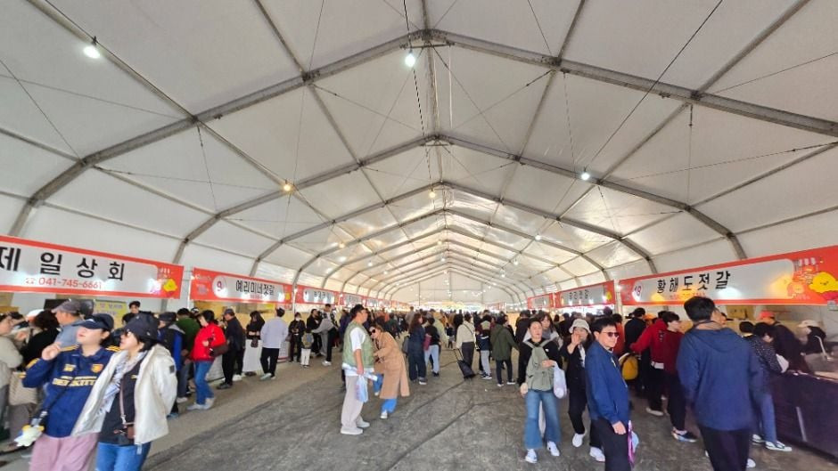 강경젓갈축제 여행 정보 - 메고지고