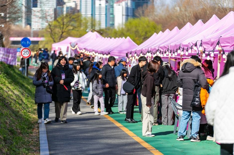 양재아트살롱 여행 정보 - 메고지고