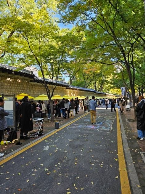 정동문화축제 여행 정보 - 메고지고