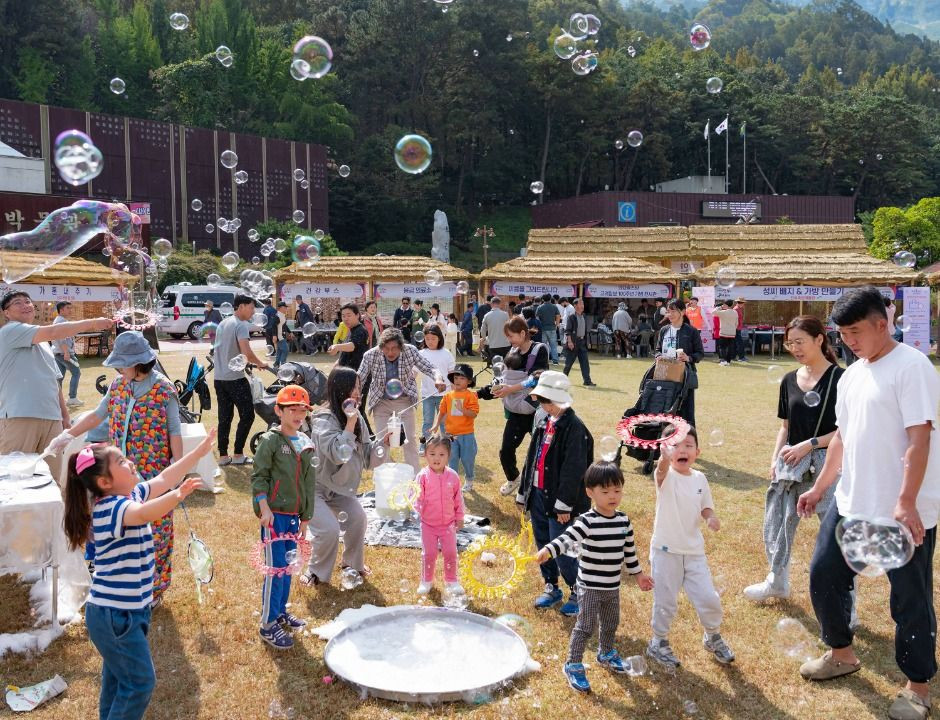 대전효문화뿌리축제 여행 정보 - 메고지고