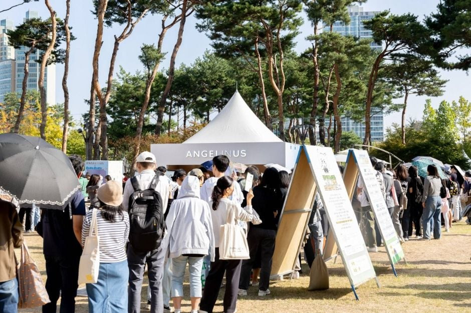 청춘, 커피페스티벌 여행 정보 - 메고지고