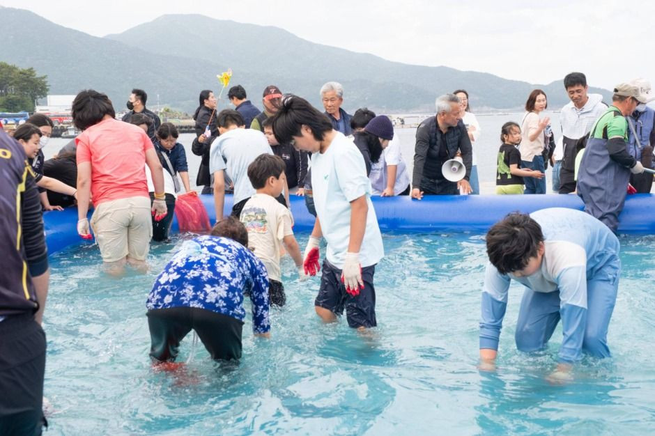 보물섬 해산물축제 여행 정보 - 메고지고