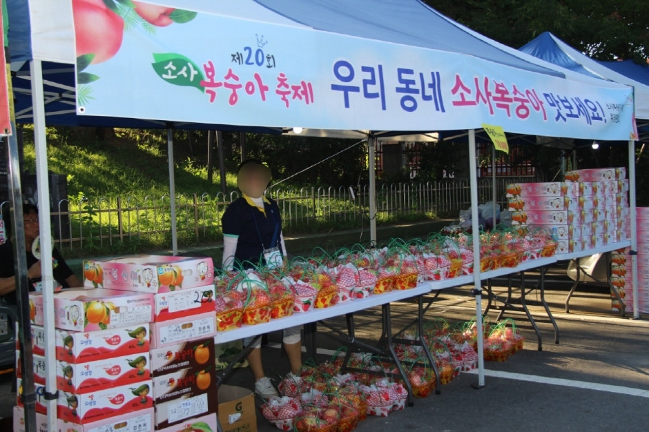 소사복숭아축제 여행 정보 - 메고지고