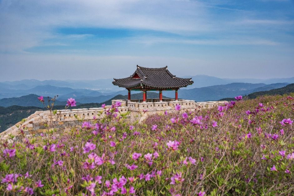 산청황매산철쭉제 여행 정보 - 메고지고