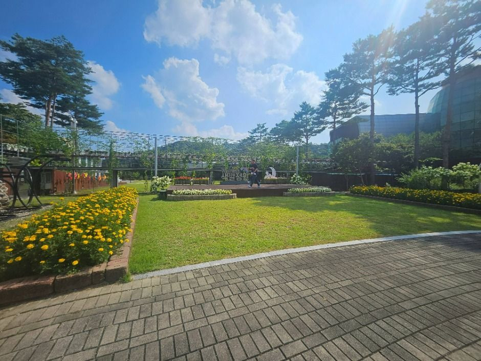 2025 충청북도 정원박람회 여행 정보 - 메고지고