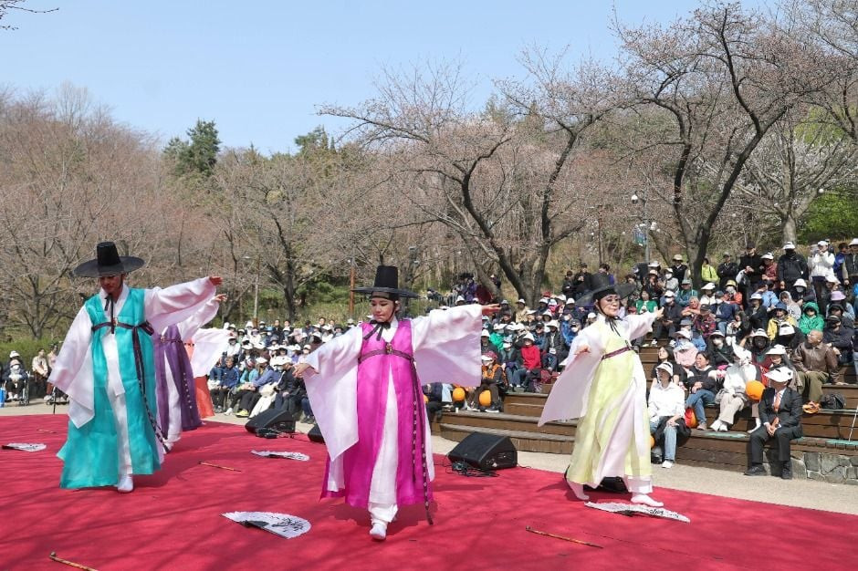 서대문 봄빛축제 여행 정보 - 메고지고