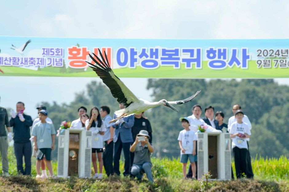 예산황새축제 여행 정보 - 메고지고