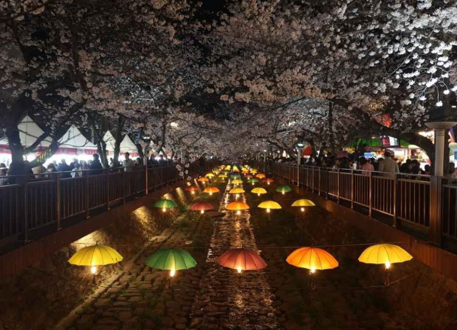 진해군항제