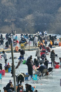 안성 동막골 빙어축제 여행 추천 - 메고지고
