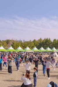 영랑호 벚꽃축제 여행 추천 - 메고지고