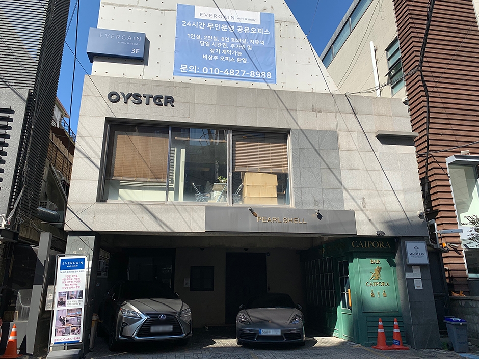 펄쉘 여행 추천 - 메고지고 펄쉘 여행 추천 - 메고지고