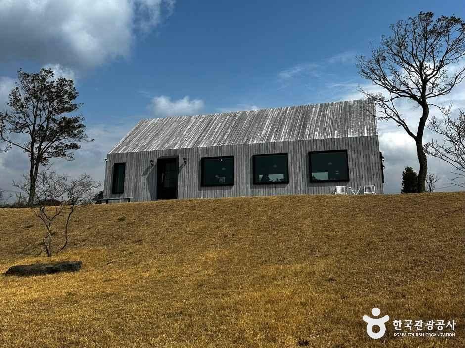 카페 어림비 여행 추천 - 메고지고 카페 어림비 여행 추천 - 메고지고
