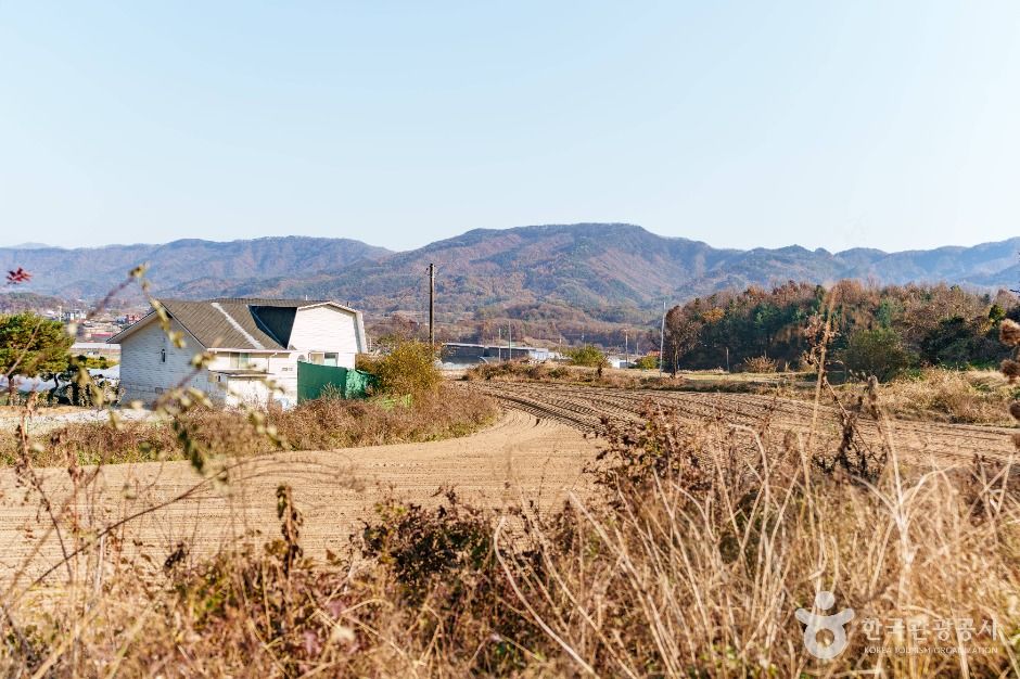 초정솔밭보리밥집카페 여행 추천 - 메고지고 초정솔밭보리밥집카페 여행 추천 - 메고지고