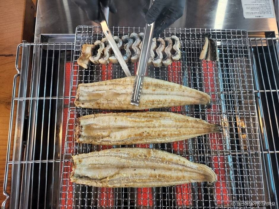 정선애장어먹으러와요 여행 추천 - 메고지고