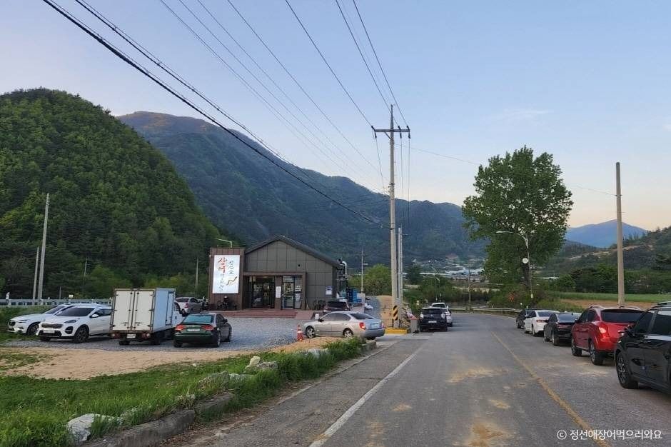 정선애장어먹으러와요 여행 추천 - 메고지고